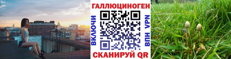 кракен ТОР  Моршанск  Галлюциногенные грибы прущие грибы 