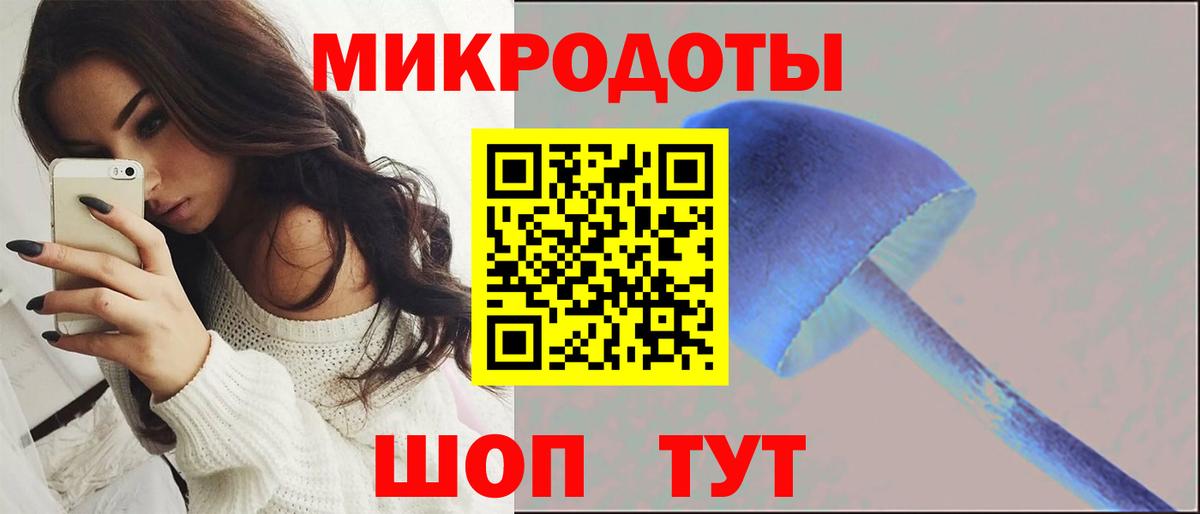 Моршанск  Псилоцибиновые грибы Psilocybe  Вход с VPN 