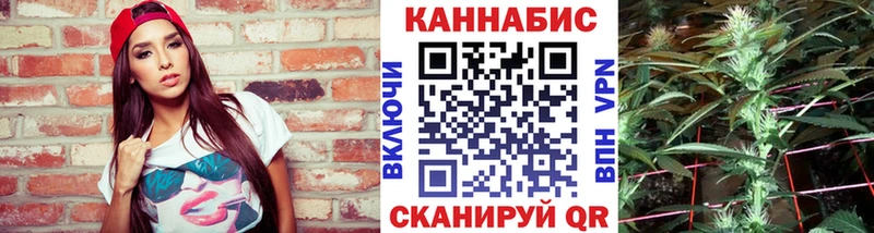 Бошки Шишки план Моршанск